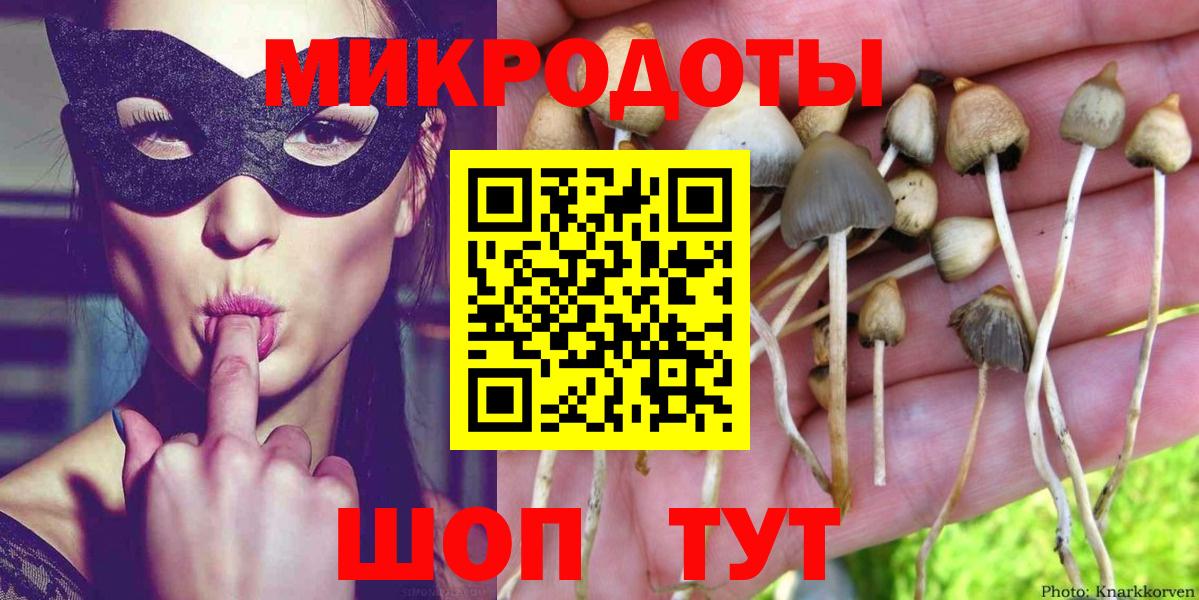 Будённовск  Псилоцибиновые грибы мицелий  Вход с VPN 